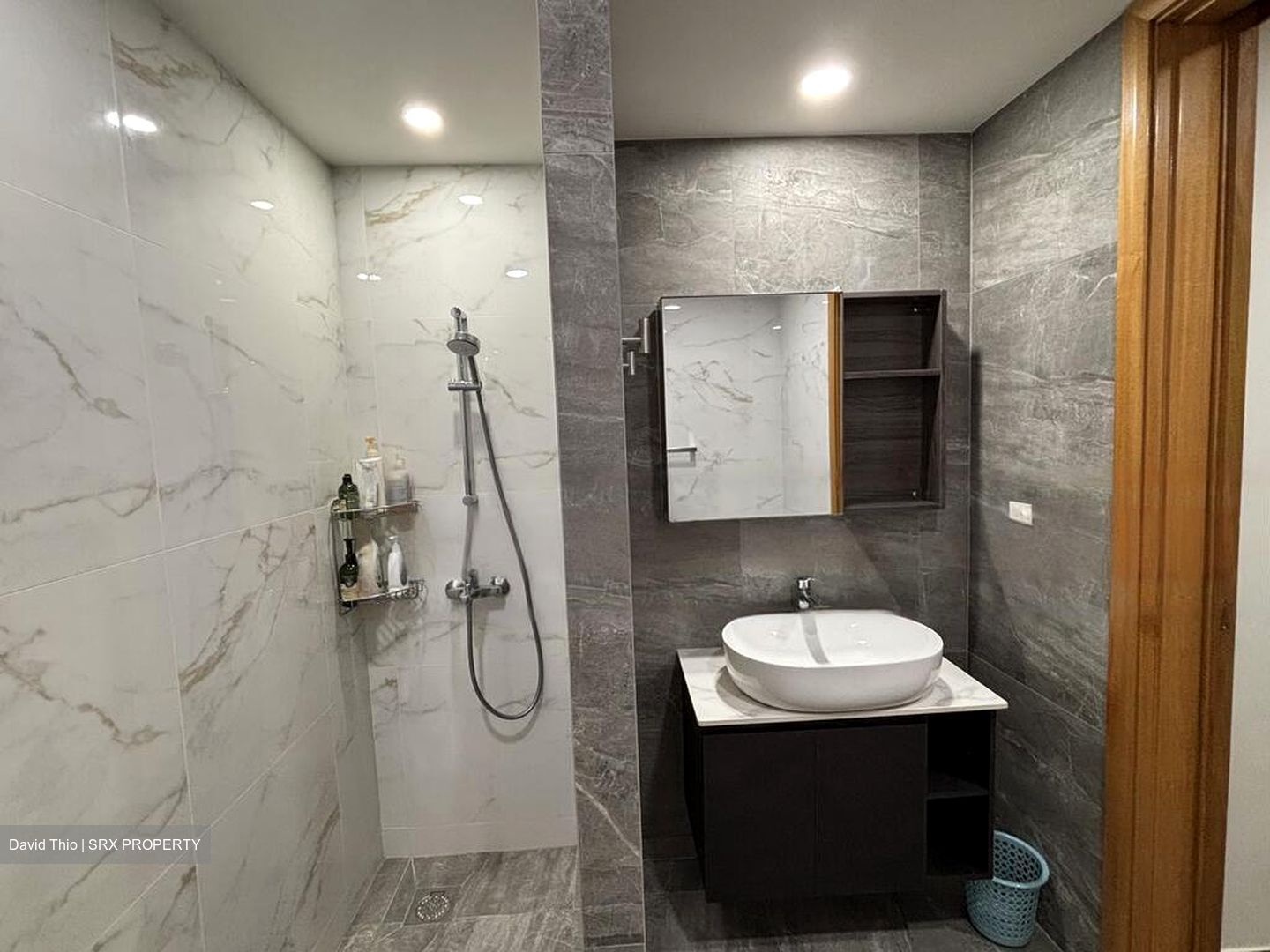 The Serenade @ Holland (D10), Condominium #453833891